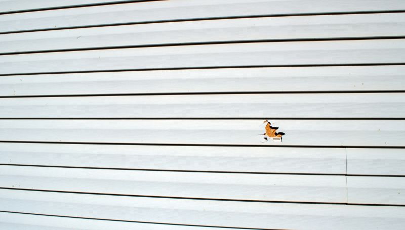 Professional securing siding panels